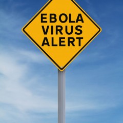 Ebola and Trucking: Transportation of Contaminated Items