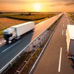 Catching Cliques in the Trucking Industry