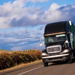 Zero Emission Vehicles: California Dreaming?