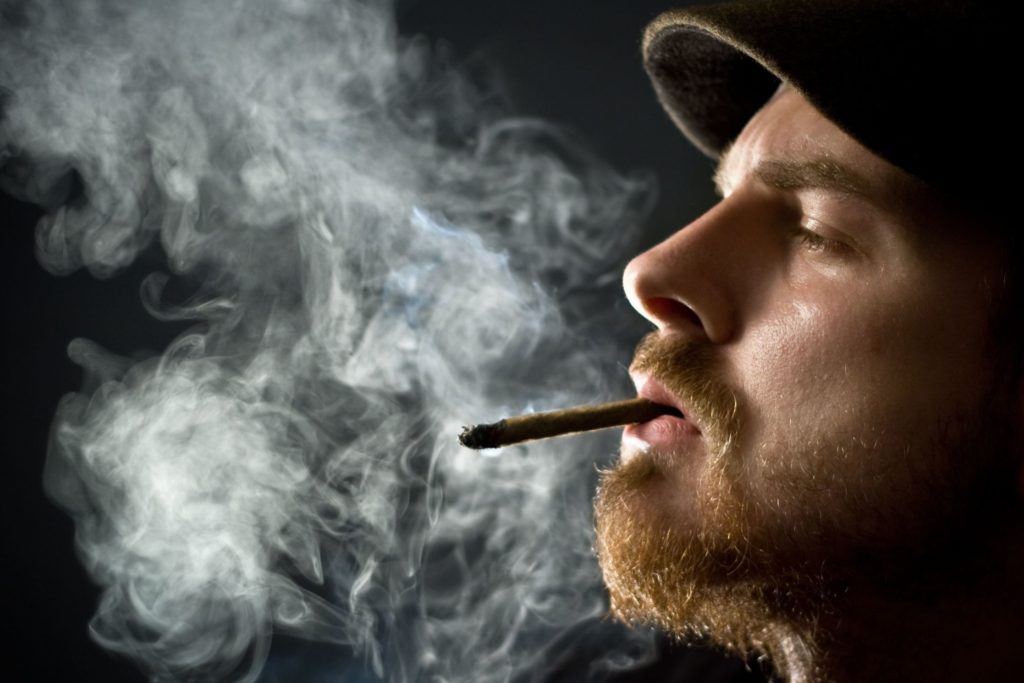 Featured image for Marijuana in Trucking